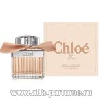 Chloe Rose Tangerine