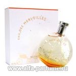 Hermes Eau Des Merveilles