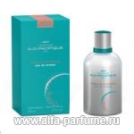 Comptoir Sud Pacifique Vanille Extreme