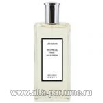 парфюм Nouveau Paris Tropical Mist 