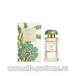 Aerin Lauder Waterlily Sun