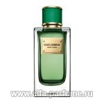 парфюм Dolce & Gabbana Velvet Cypress