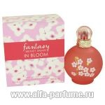 Britney Spears Fantasy in Bloom