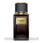 Dolce & Gabbana Velvet Incenso