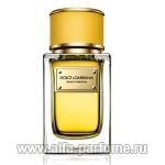 парфюм Dolce & Gabbana Velvet Ginestra