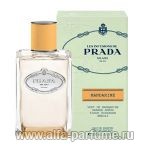 Prada Infusion Mandarine