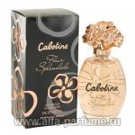 Gres Cabotine Fleur Splendide