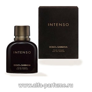 Dolce & Gabbana Pour Homme Intenso