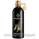 Montale Arabians Tonka