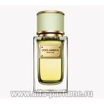 парфюм Dolce & Gabbana Velvet Pure