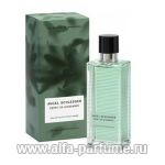 Angel Schlesser Esprit Gingembre pour Homme