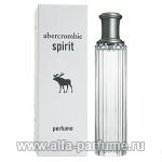 парфюм Abercrombie & Fitch Spirit Perfume