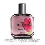 парфюм Hollister Crescent Bay