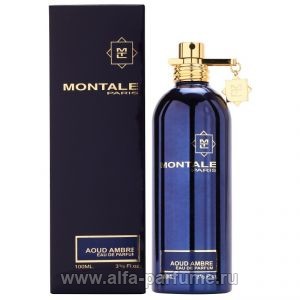 Montale Aoud Ambre