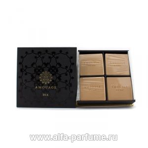 Amouage Dia Pour Homme